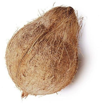 Hard Natural Semi Husked Coconut For Pooja, Cooking
