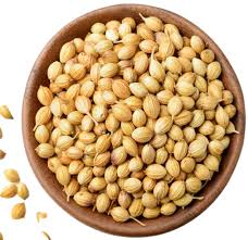 Raw Organic Coriander Seeds For Cooking