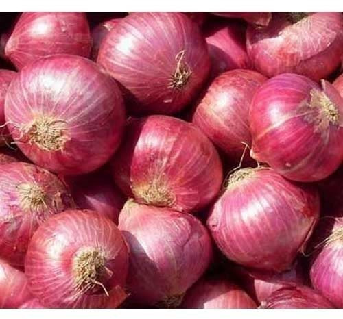 Fresh Red Onion For Cooking