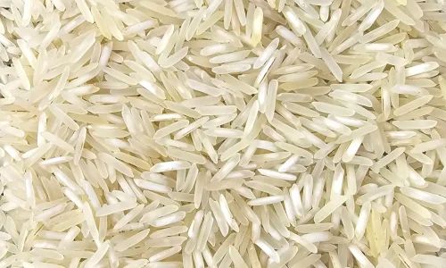 Unpolished Organic Soft 1509 Steam Basmati Rice For Cooking