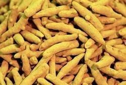 Organic Dried Turmeric Finger For Cooking