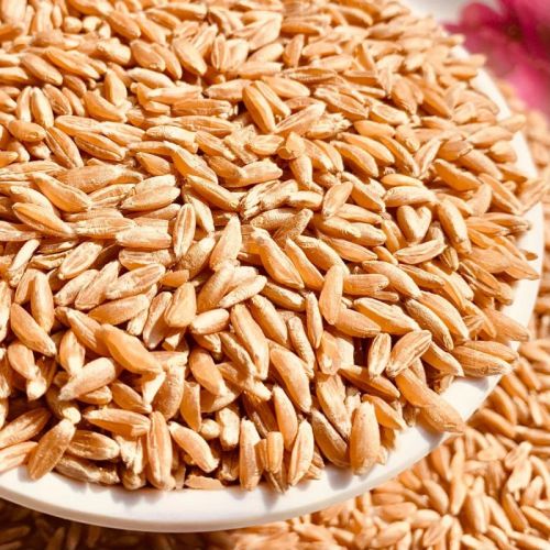 Organic Wheat Grain For Cooking