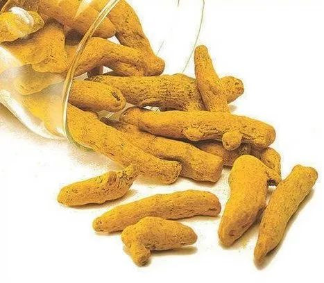 Raw Turmeric Finger For Cooking