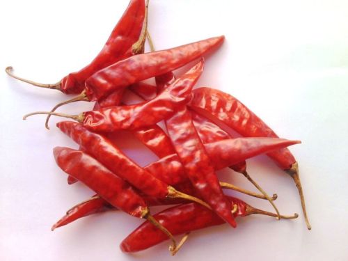 Raw Teja Dry Red Chilli For Cooking