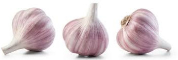 Organic White Garlic, Brand Name : Alam