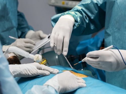 Hernia Repair Surgery