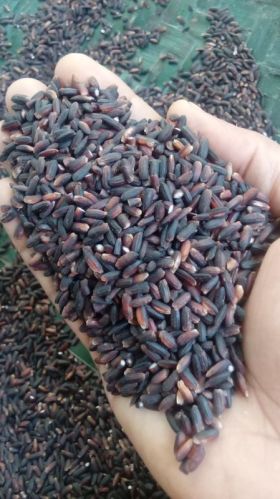 Mukil Organic's Hard Organic Black Kavuni Rice For Human Consumption, Food, Cooking