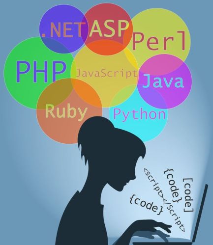 Web Development Company Dehradun, Platform : Wordpress