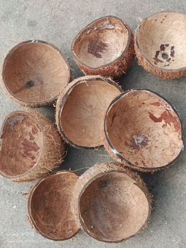 Dry Coconut Shell, Color : Brown, Packaging Type : HDPE Bag