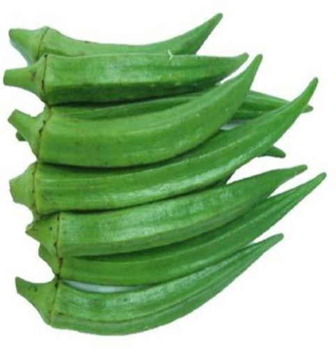 Fresh Okra, Packaging Type : Carton