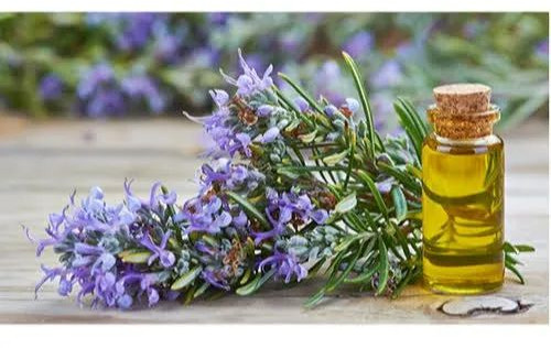 Rosemary Oil For Cosmetics