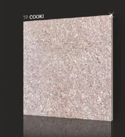 Ceramic TP Cooki Tile For Home