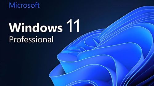 Microsoft Windows 11 Pro
