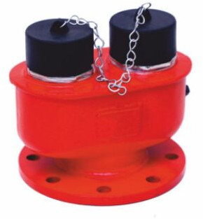 2 Way Fire Brigade Inlet Connection