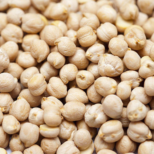 Natural White Chickpeas For Cooking Use