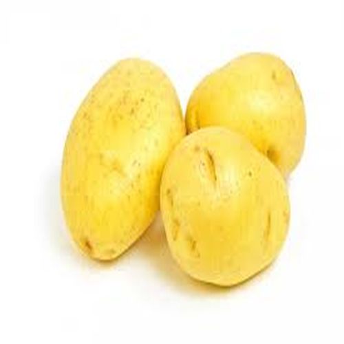 Natural Yellow Potato, Packaging Type : Plastic Bag