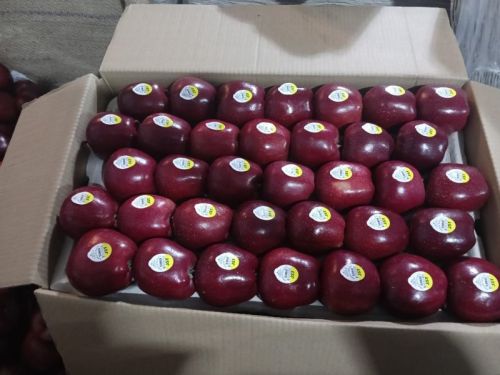 Super Royal Fresh Kashmiri Apple For Human Consumption