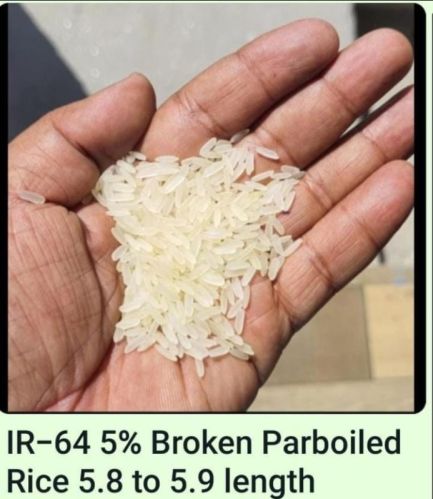 Common ir64 Chawal For Export