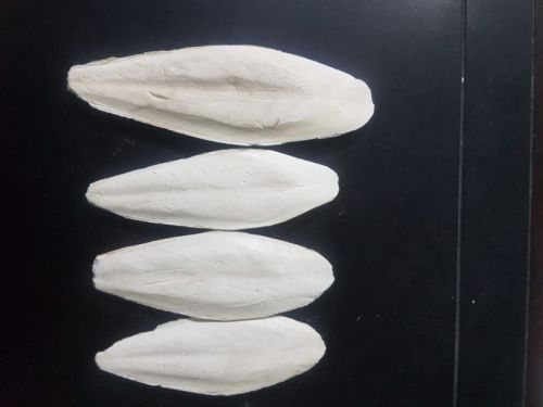 Natural Dried Cuttle Fish Bone For PET Feed