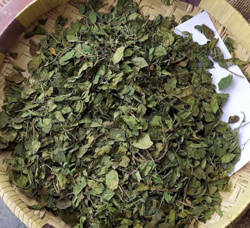 Organic Gurmar Dried Leaves, Packaging Size : 20-25kg