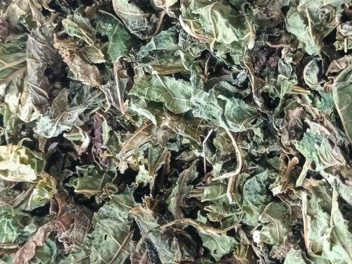 SVM Naturals Papaya Dried Leaves For Herbal Formulation, Cooking, Ayurvedic Formulation