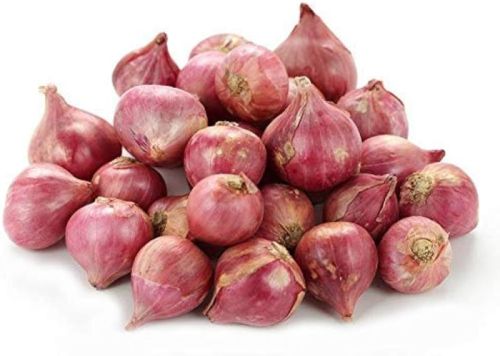 Organic Fresh Shallot Onion For Cooking