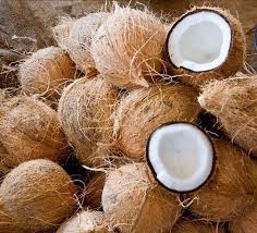 Hard Organic Semi Husked Coconut For Pooja, Medicines