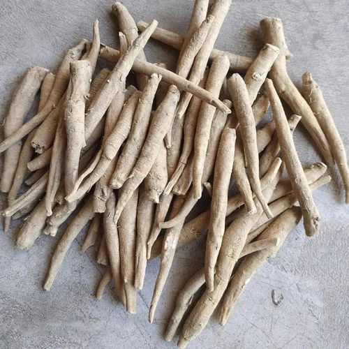 Ashwagandha Nagori Root, Grade : Medicinal Grade For Herbal Products