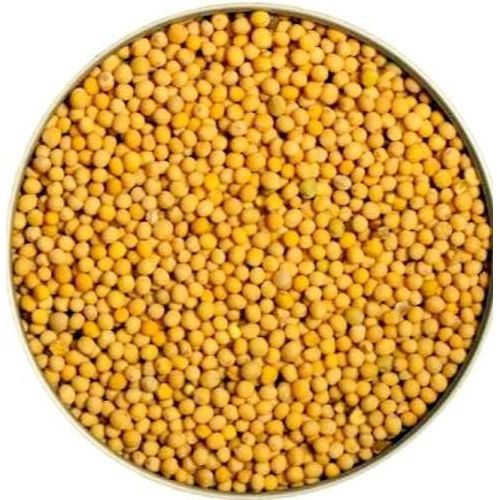 Yellow Mustard Seed, Packaging Size : 5kg, 1kg For Cooking