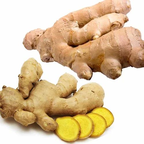 Organic Fresh Ginger, Packaging Size : 20kg, Form : Whole, Packaging Type : Bag