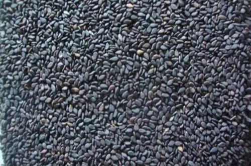 Natural Raw Black Sesame Seeds Dried, Purity : 100 % For Cooking