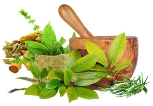 Customized Ayurvedic Preventive Medicines Service