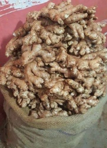 Fresh ginger, Form : Whole, Packaging Type : Brown