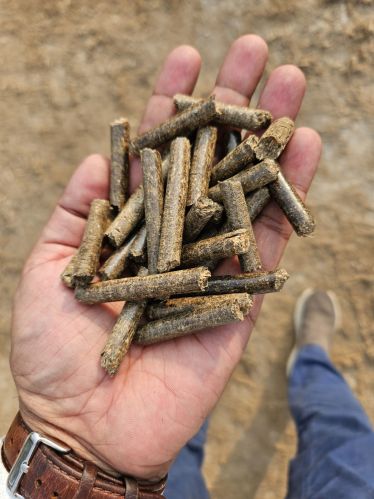 MUSTARD HUSK Pellets, Packaging Type : BAGPACK