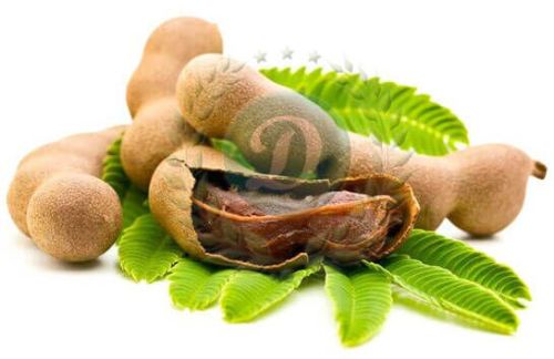 Carboxy Methyl Tamarind Powder 10 To 12