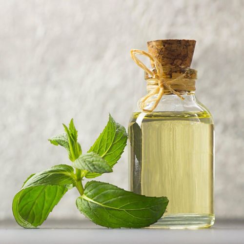 Spearmint Essential Oil