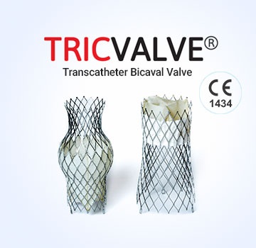 Tricvalve-transcatheter Bicaval Valves System