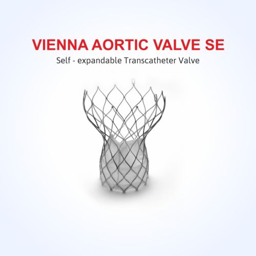 Vienna Aortic Valve Se - Transcatheter Aortic Valve