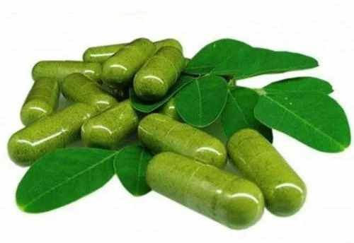 Moringa Capsule, Color : Green, Grade Standard : Herbal Grade, Packaging Type : Plastic Bottle