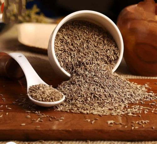 Organic cumin seeds, Packaging Type : Brown Food Grade