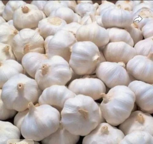 Organic fresh garlic, Color : White for Cooking