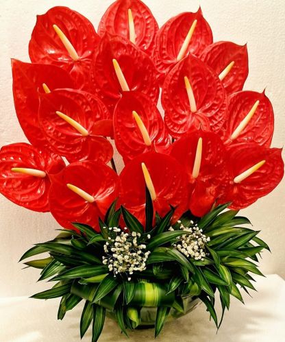 Red Anthurium Arrangement In Glass Vase