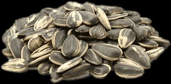 Roasted Sunflower Seeds