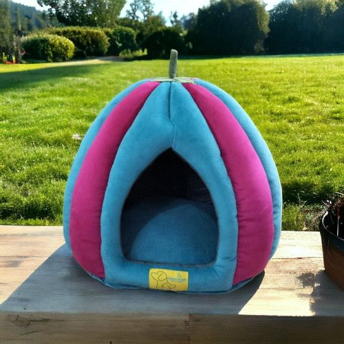 Pumpkin Multi-colored Cat House