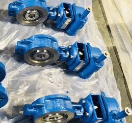 Ductile Iron Double Eccentric Butterfly Valve 10