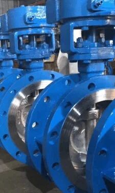 A351 CF3M Double Flanged Butterfly Valve 10