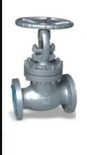 Incoloy Globe Valve