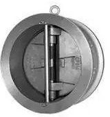 Super Duplex Dual Plate Check Valve