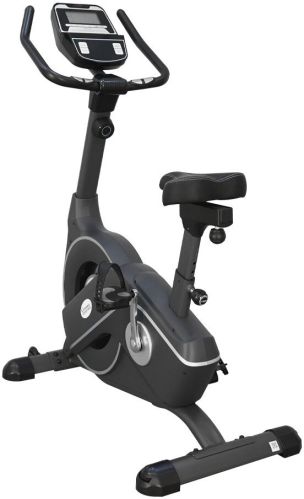 Gamma Upright Exercise Bike
