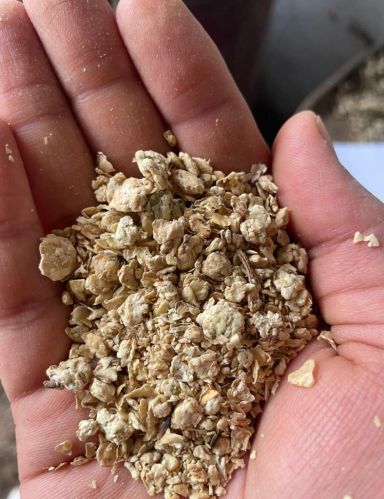 Soya Doc, Packaging Size : 40 Kg, 50 Kg, Moisture : Less Than 5%